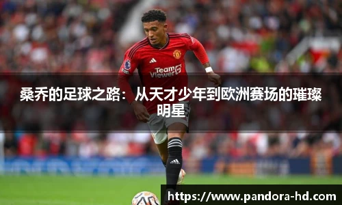 桑乔的足球之路:从天才少年到欧洲赛场的璀璨明星