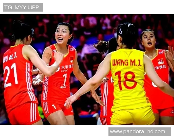 南京与武汉排球队赛后分析实力对比与未来展望