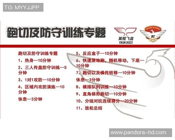 南京飞盘队区域防守分析：优劣势及其对比赛结果的影响探讨