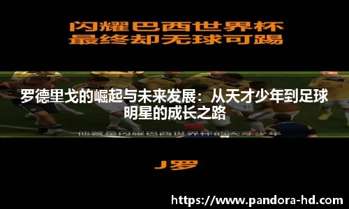 星空·综合体育官方网站