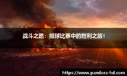 星空·综合体育官方网站